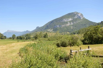 Photographie du marais