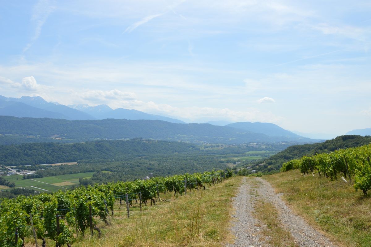 Le sentier des papillons