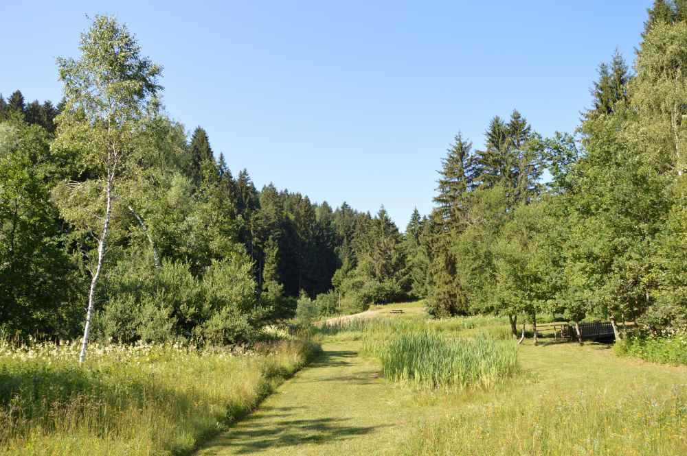 Marais du Pontet