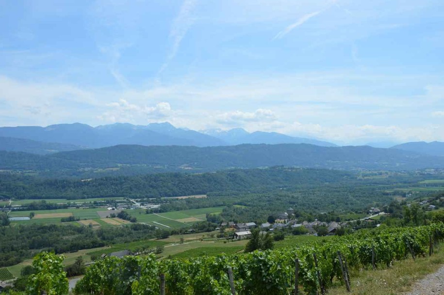 Sentier des papillons panorama à travers les vignes