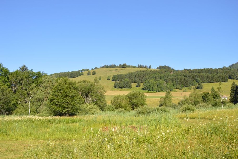 Marais du Pontet