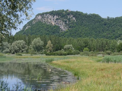 Marais des Lagneux1040742