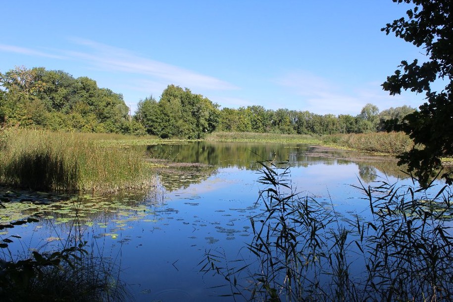 Etangs de Crosagny