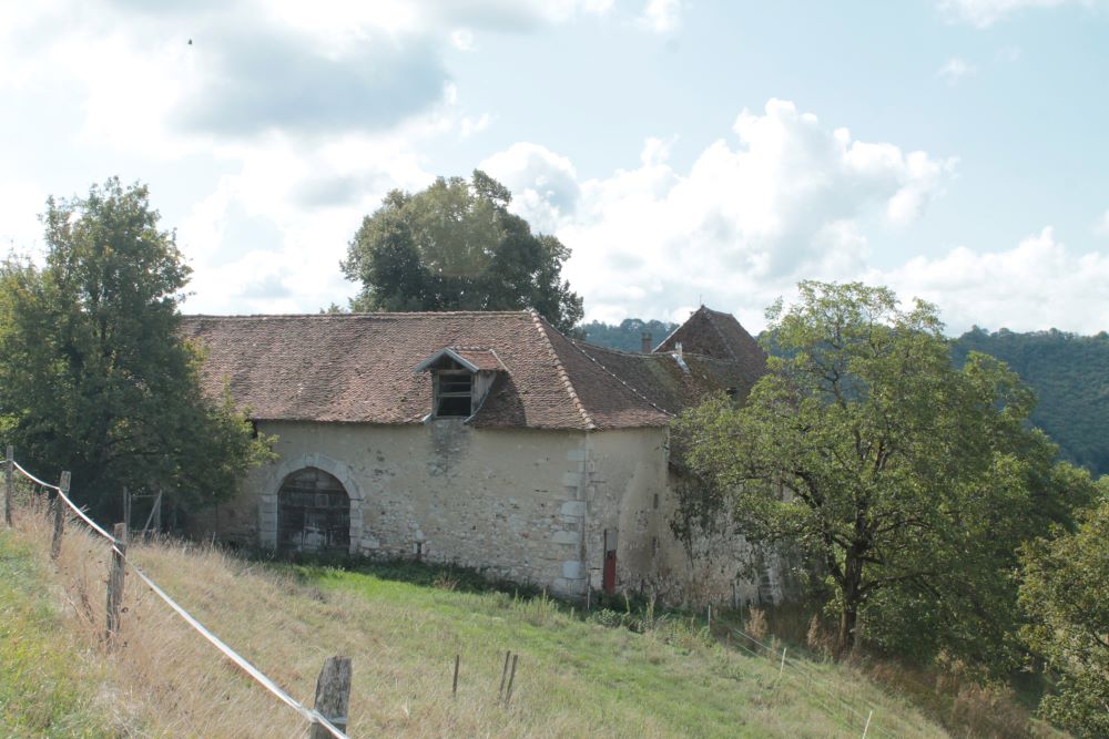 IMG 0478