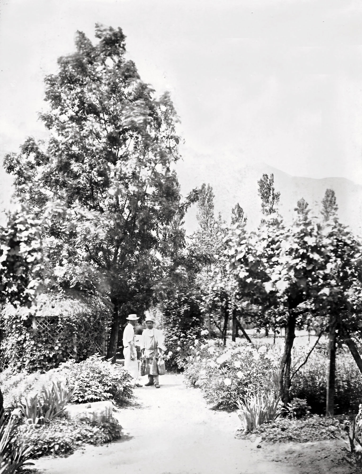 4-LG-Le-bas-du-jardin.-Photo-Ellen-Willmott