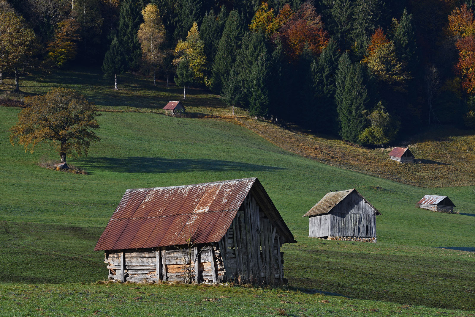 Grangettes-paysage©AURA-Thierry-Leroy-2