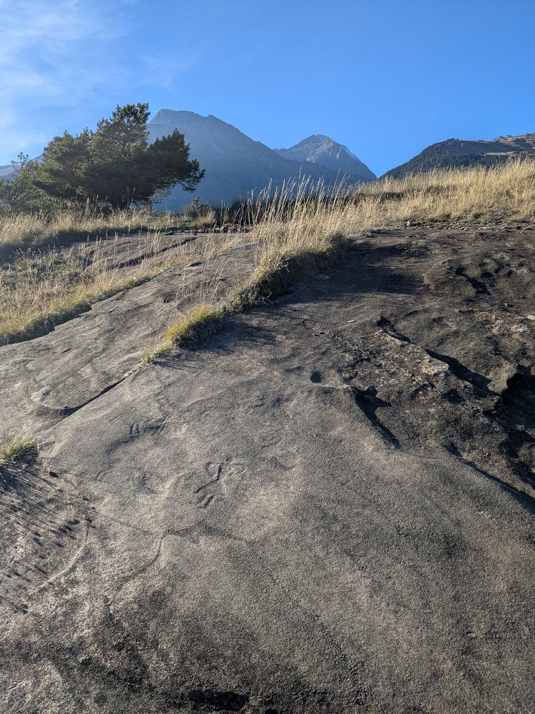 Vue générale du site