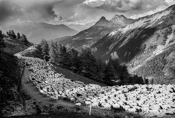 ©Emmanuel Breteau - Lou Pastre