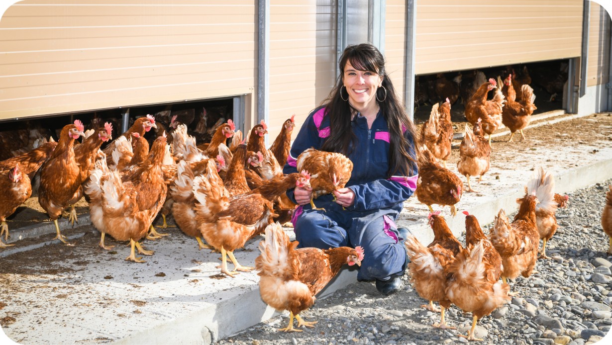 Adoptez une poule_Val-d'Arc