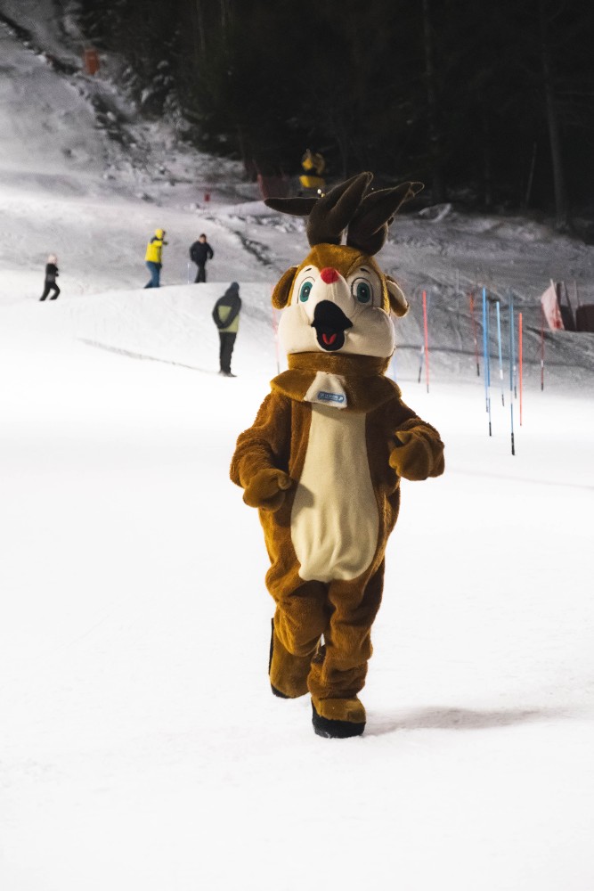 Trouvez Timo !_La Norma