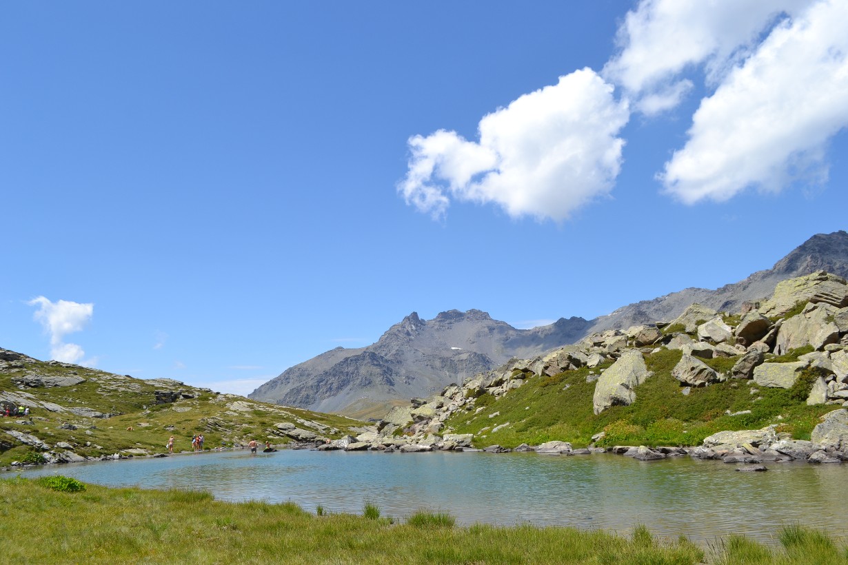 Balade découverte de la montagne_Orelle