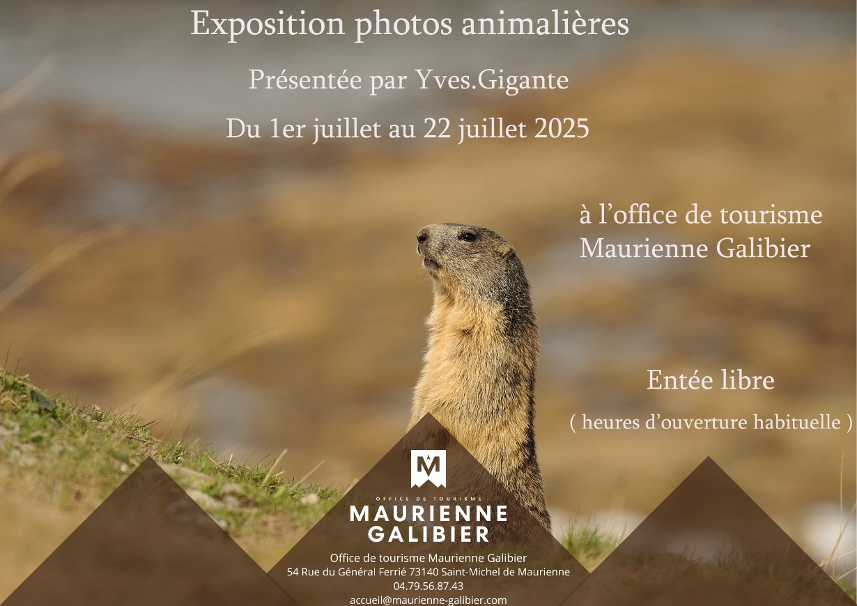 Exposition photos animalières_Saint-Michel-de-Maurienne