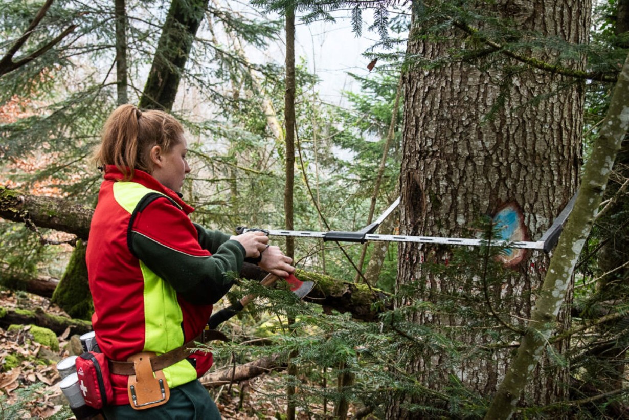 Vis ma vie de Forestier_Le Châtelard