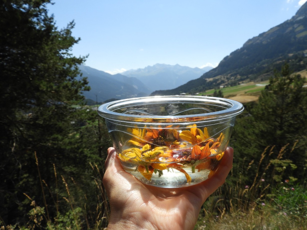 Marion Lett Fleurs de Shan à Aussois