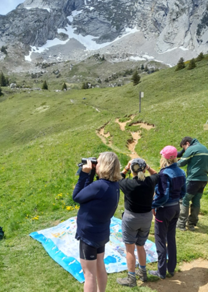 Les techniciens sortent de leur Réserve… des Bauges ! - parcours famille_École
