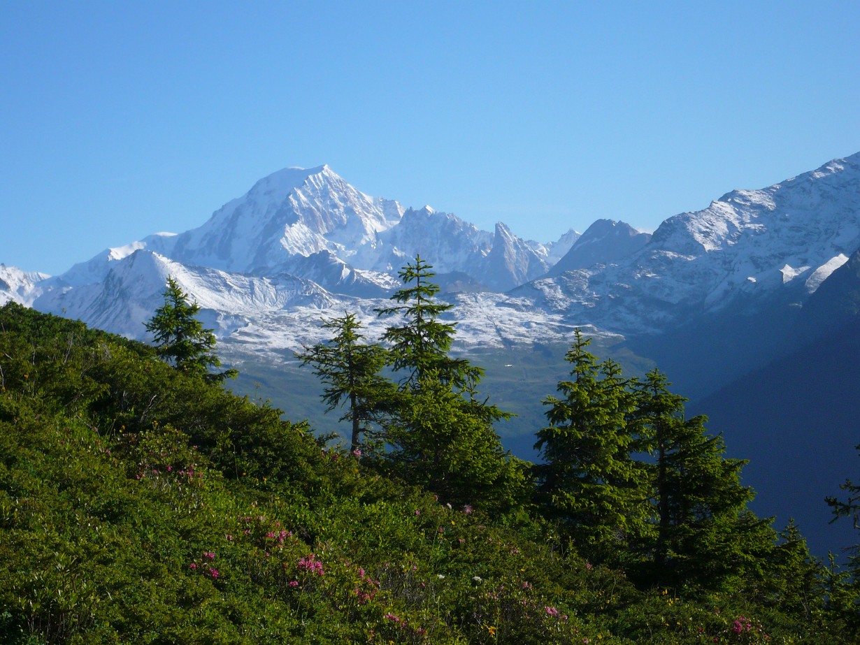 Réserve naturelle Nationale