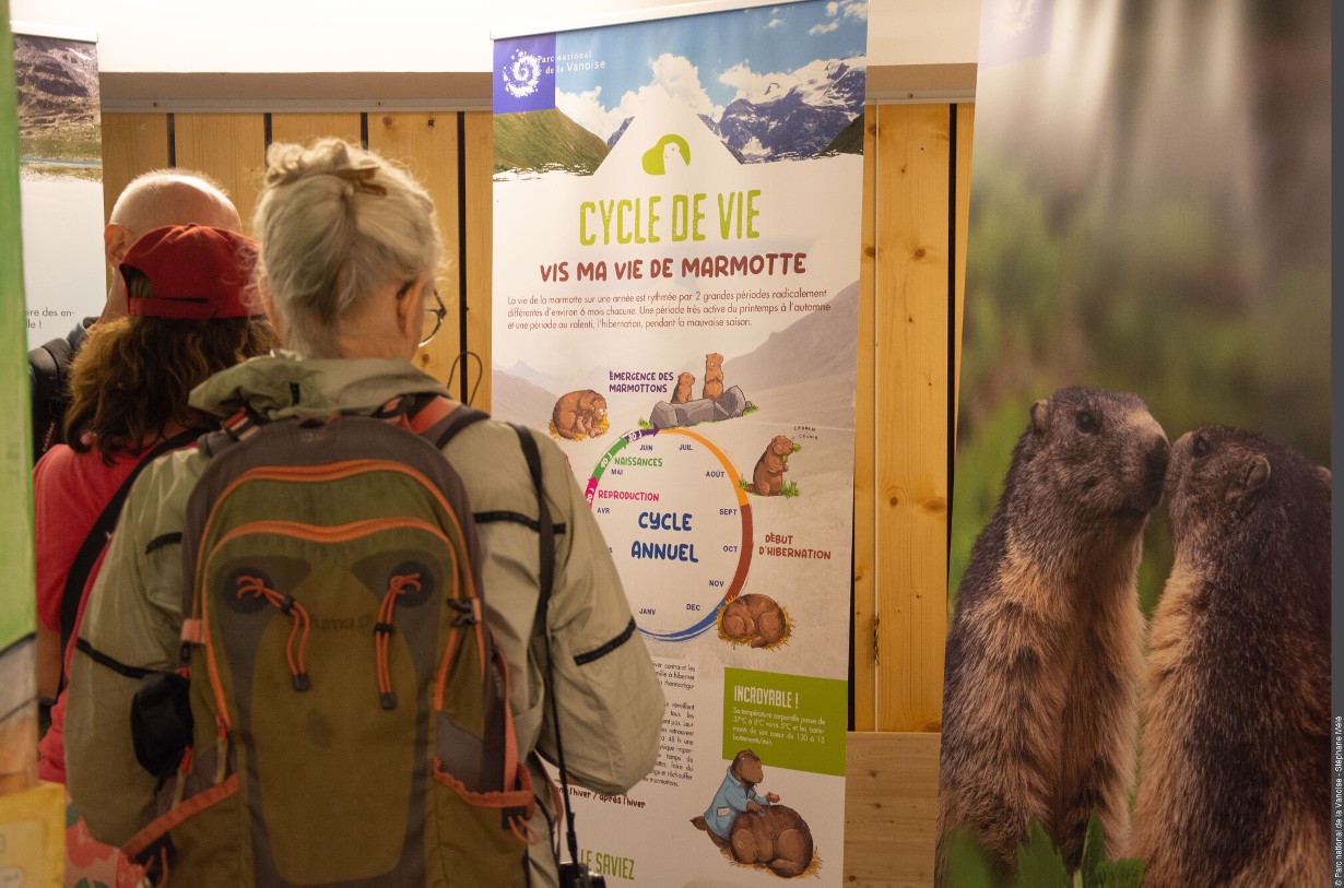 Exposition La Tribu des Marmottes_Val-Cenis