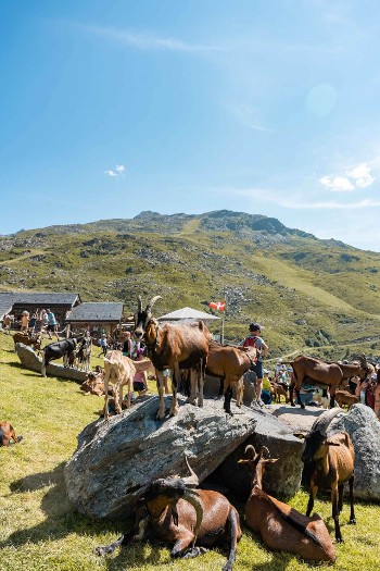 Atelier "Les Petits Fermiers" - Chez Pépé Nicolas_Val Thorens