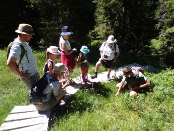 Visite guidée du sentier des Arpelières - animaux des tourbières_Les Saisies