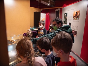 Visite commentée du Musée d'Archéologie de Sollières-Sardières
