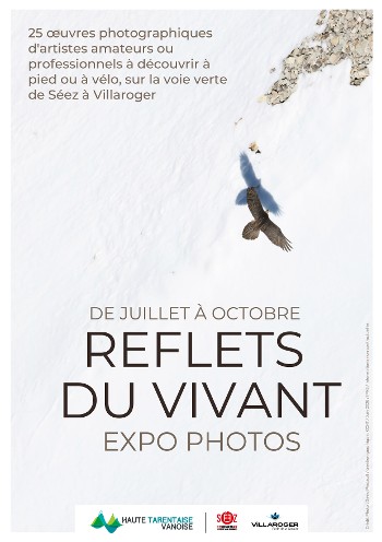 Reflets du vivant - Exposition photo participative_Villaroger
