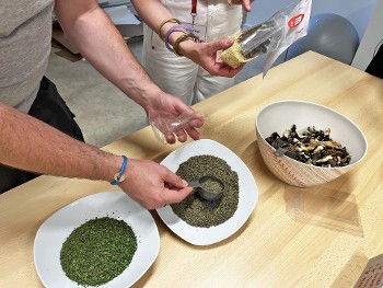 Visite-atelier adulte - Du panier à l'assiette_Chambéry