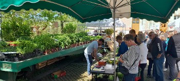 Marché de producteurs