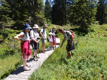 Visite guidée sentier flore