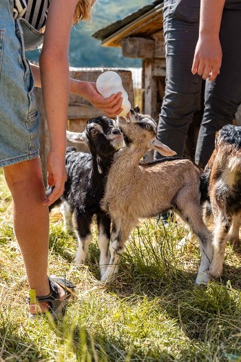 Viens nourrir les animaux de la ferme - Chez Pépé Nicolas_Val Thorens