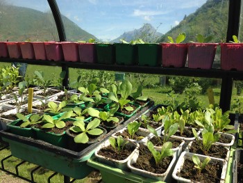 LES RENC'ARTS - Viens, on sème ! Au jardin_La Compôte