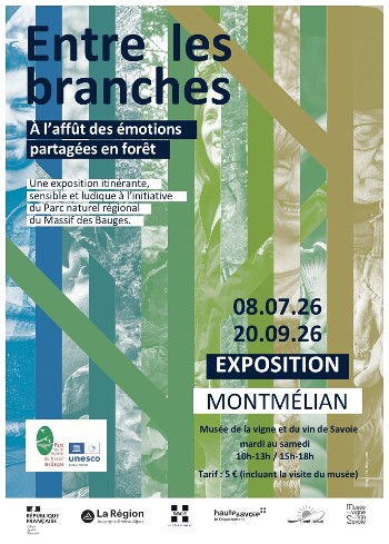 Exposition "Entre les branches, à l’affût des émotions partagées en forêt"_Montmélian