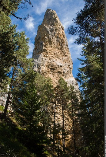 Les secrets de la forêt du Monolithe_Val-Cenis