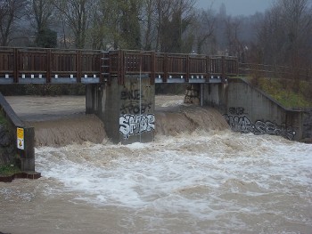 Bras de décharge