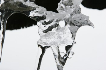 Exposition "De Glace" de Jacques Richard_Champagny-en-Vanoise